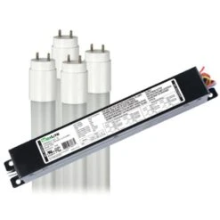 Maxlite LED Light Bulb (4 Pack) (00288)