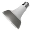 Energetic Lighting LED Reflector Flood Retrofit (00302) -Light Bulbs Shop 00302md
