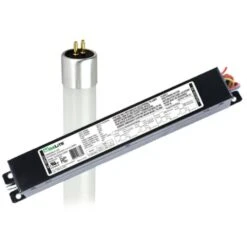 Maxlite LED Light Bulb (00351)