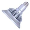 Soraa LED Reflector Narrow Flood Light Bulb (00979) -Light Bulbs Shop 00977md