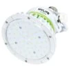 HyLite LED Light Bulb (01331) -Light Bulbs Shop 01321lg 3
