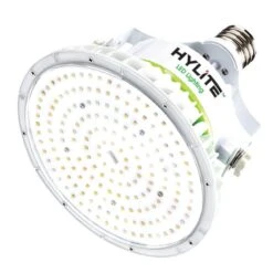 HyLite LED Light Bulb (00771)