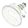 HyLite LED Light Bulb (01349) -Light Bulbs Shop 01345lg 7
