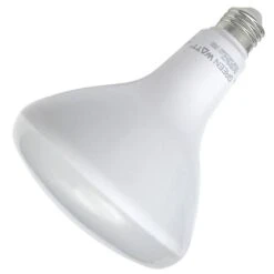 LongStar LED Reflector Flood Retrofit (02156) -Light Bulbs Shop 02156amd