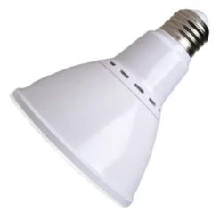 LongStar LED Reflector Flood Retrofit (02170)