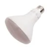 LongStar LED Reflector Flood Retrofit (02187) 1 LongStar LED Reflector Flood Retrofit (02187) -Light Bulbs Shop 02187alg