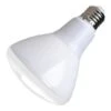LongStar LED Reflector Flood Retrofits (02887) -Light Bulbs Shop 02187md