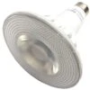 LongStar LED Reflector Flood Light Bulb (02293) -Light Bulbs Shop 02293blg
