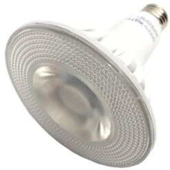LongStar LED Reflector Flood Light Bulb (02293) -Light Bulbs Shop 02293bmd