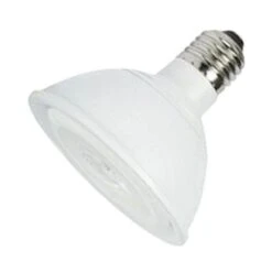 LongStar LED Reflector Flood Retrofit (02410)