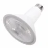 Cree LED Light Bulb (02645) 2 Cree LED Light Bulb (02645) -Light Bulbs Shop 02645lg