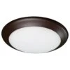 American Lighting LED Flush Mount (02848) -Light Bulbs Shop 02848lg