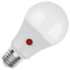 Maxlite LED Light Bulb (02946) -Light Bulbs Shop 02946lg