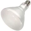 Satco Halogen Incandescent Light Bulb (04516) -Light Bulbs Shop 04516lg