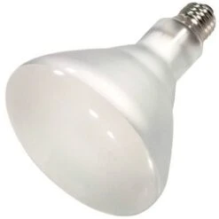 Satco Halogen Incandescent Light Bulb (04516) -Light Bulbs Shop 04516md