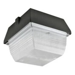 NaturaLED Ceiling/Canopy LED Light Fixture (07166)