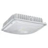 NaturaLED Canopy LED Light Fixture (07439) -Light Bulbs Shop 07439lg