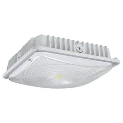 NaturaLED Canopy LED Light Fixture (07439)