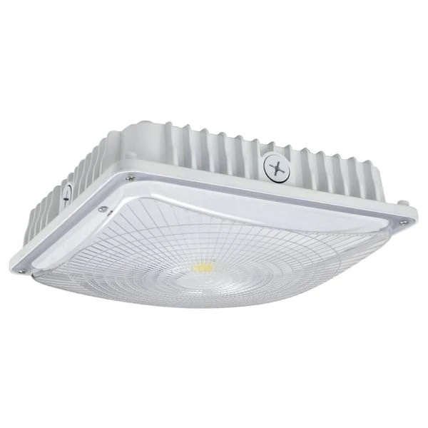 NaturaLED Canopy LED Light Fixture (07439) 4 NaturaLED Canopy LED Light Fixture (07439) - Image 2