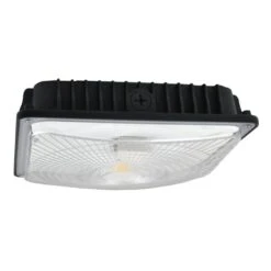 NaturaLED Canopy LED Light Fixture (09415)