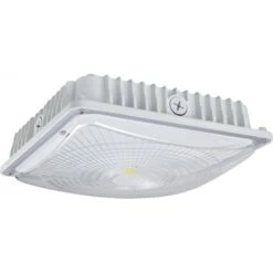 NaturaLED Canopy LED Light Fixture (07499)