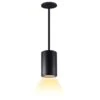 NaturaLED LED Pendant Fixture (07794) -Light Bulbs Shop 07794lg