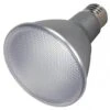 Satco LED Reflector Flood Retrofit (08496) -Light Bulbs Shop 08496lg
