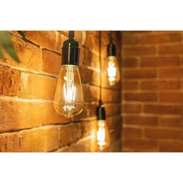 Satco LED Antique Reproduction Light Bulb (08612) 5 Satco LED Antique Reproduction Light Bulb (08612) - Image 3