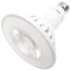 Eiko LED Light Bulb (09171) -Light Bulbs Shop 09171alg