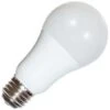 Satco LED Light Bulb (09317) -Light Bulbs Shop 09316alg 1