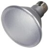 Satco LED Reflector Flood Retrofit (08495)