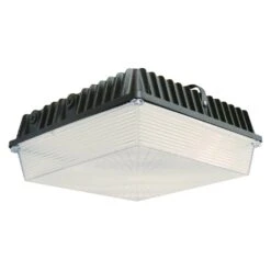 Eiko LED Surface Canopy Fixture (09449)
