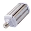 Eiko LED HID Area Light Bulb (09647)