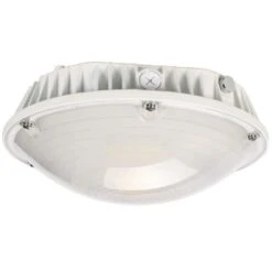 Eiko LED Surface Canopy Fixture (09962)
