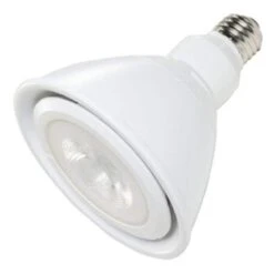 Ushio LED Light Bulb (1005060)