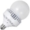 Eiko LED Light Bulb (10660)