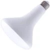 LongStar LED Reflector Flood Retrofit (02865) -Light Bulbs Shop 10758lg