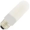 Satco LED Light Bulb (11219) -Light Bulbs Shop 11218lg