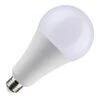 Satco LED Light Bulb (11481) -Light Bulbs Shop 11481lg