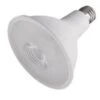 Satco LED Light Bulb (12216) -Light Bulbs Shop 12210dlg