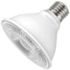 Keystone LED Reflector Flood Retrofit (12728) -Light Bulbs Shop 12406lg