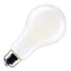 Satco LED Light Bulb (12448) 2 Satco LED Light Bulb (12448) -Light Bulbs Shop 12448lg
