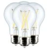 Satco LED Antique Filament Light Bulb (4 Pack) (12462) -Light Bulbs Shop 12462lg