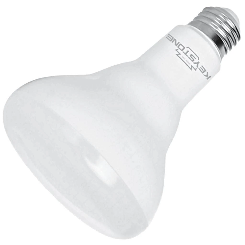 Keystone LED Reflector Flood Retrofit (12595) 3 Keystone LED Reflector Flood Retrofit (12595)