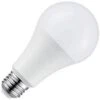 Maxlite LED Light Bulb (12645) -Light Bulbs Shop 12642md
