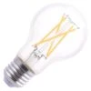 Eiko LED Antique Filament Light Bulb (13024) -Light Bulbs Shop 13026lg