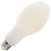Satco LED Light Bulb (13131) -Light Bulbs Shop 13130lg
