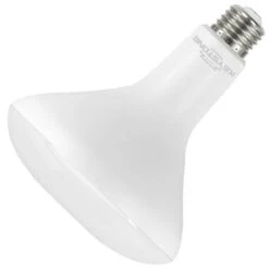 Keystone LED Reflector Flood Retrofit (13467)