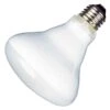 TCP LED Light Bulb (14126)