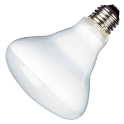 TCP LED Light Bulb (14126)